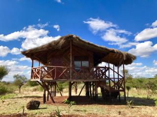 Amboseli Eco Camp - 2