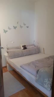 Ferienwohnung am Titisee - Titisee-Neustadt - 4