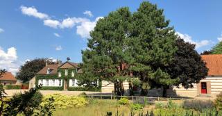La Ferme de Mezoutre - Vironchaux - 8