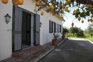 La casa tra i limoni di Rosmarino Park IT083O84B59CP6PX5J - SantʼAgata di Militello - 6