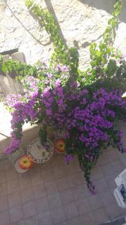 Old Town Center Apartments - 8