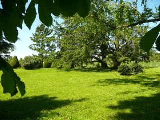 Domaine de Marsaguettes - Morlhon-le-Haut - 8