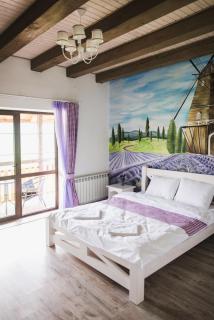 Pogar Inn - Slavske - 0