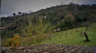 Agriturismo Monterone - Ponzano Romano - 7