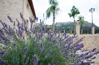 Casale Madeccia - Sonnino - 2