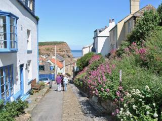 Felicity Cottage - Staithes - 9
