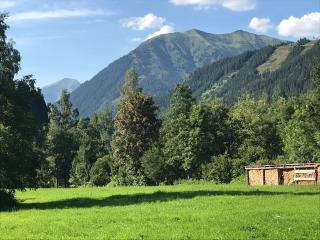Gasthof zum Gamsjäger - Sankt Nikolai im Sölktal - 1