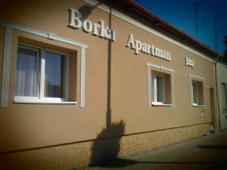 Borka Apartman - Makó - 7