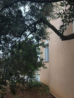 Villa Olive-Home with Pool - 2