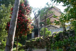 Ortensia - Stresa - 0