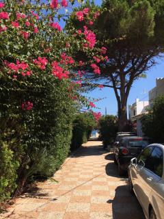La maison sul mare - San Vito lo Capo - 2