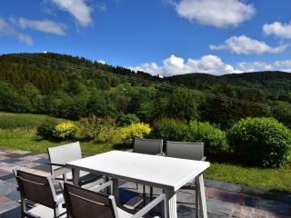 Magnificent chalet in Saulxures-sur-Moselotte - Saulxures-sur-Moselotte - 1