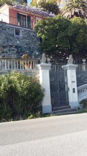 maru - Levanto - 0
