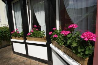 Bertricher Hof Hotel Garni - Bad Bertrich - 2