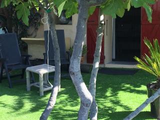 Les terrasses sur mer - Ollioules - 6