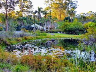 Kiwarrak Country Retreat - Old Bar - 4