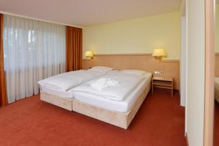 Hotel Sonne Eintracht KG Achern - Achern - 3