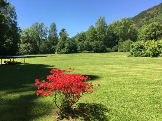 Schlosspark Bungalow - Seebenstein - 3