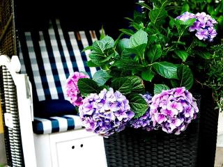 Hotel Albrechtshof Gohrisch - 3