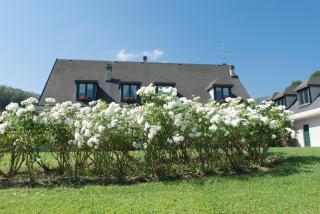B&B La Provenzale - 9