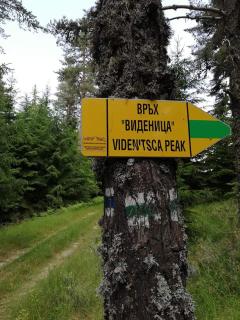 Complex Pele - Zmeitsa - 4