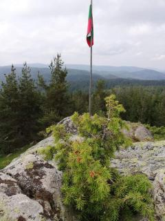 Complex Pele - Zmeitsa - 5