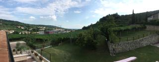 La Bella Vigna - Marano di Valpolicella - 1