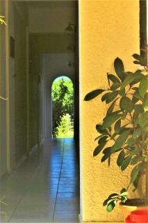 Chrysanthi Melitsa apts. - Sidari - 7