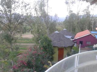 La Pasarela - Tarija - 7