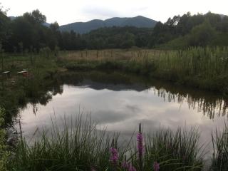Camping Zamolxe - 7