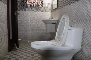 Marari houseboat - Mararikulam - 8