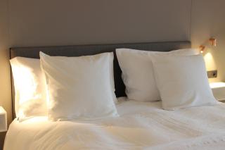 MAIO B&B en Dinner - Zonhoven - 6
