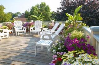 Yankee Peddler Inn - Newport - 5