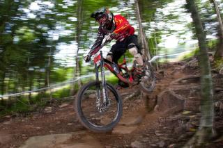 Highland House - Snowshoe - 7