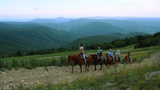 Rimfire - Snowshoe - 5