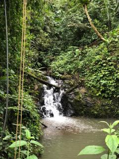 Hotel Campestre VillaMaria - 1