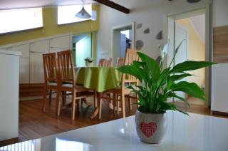 Apartma Louis - Dutovlje - 2
