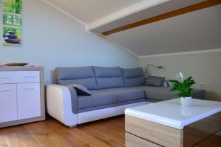 Apartma Louis - Dutovlje - 5