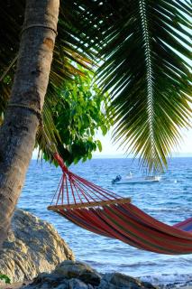 Coco Komba Lodge - Nosy Komba - 7
