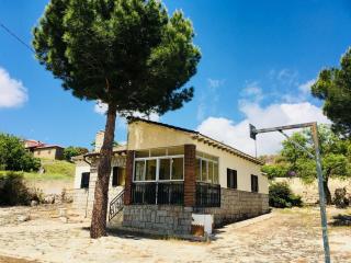 Los Robles - Ávila - 0