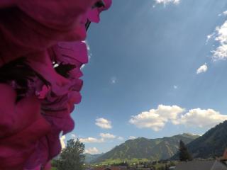 Gastehaus Reichle - 1