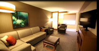 Hyatt Place DFW - Irving - 4