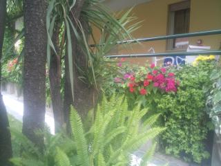 Hotel Parco - San Benedetto del Tronto - 7