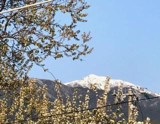 The Ginger Bread House - Mount Beauty - 3
