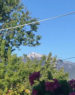 The Ginger Bread House - Mount Beauty - 4