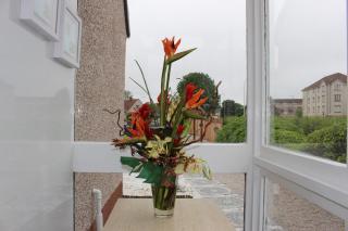 The Marlfield - Bellshill - 1