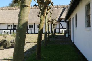 Birkelygaard B&B - Millinge - 6