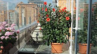 Hotel Asteri - Kyiv - 5