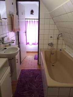 Pension u Adršpachu - Dana Tyšerová - Janovice - 5
