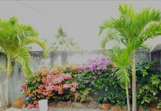 Bluebay Appartments - 6